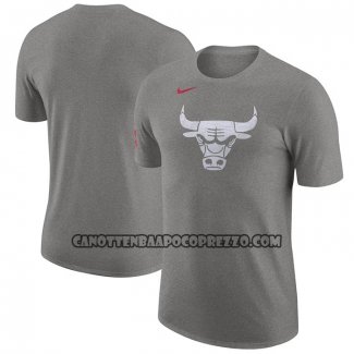 Canotte Manica Corta Chicago Bulls Citta 2023-24 Grigio